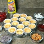 Plain mini cheesecakes surrounded by topping ideas of pie filling, peanut butter chips, chocolate chips, chocolate syrup, pretzel sticks, jam and mini marshmallows