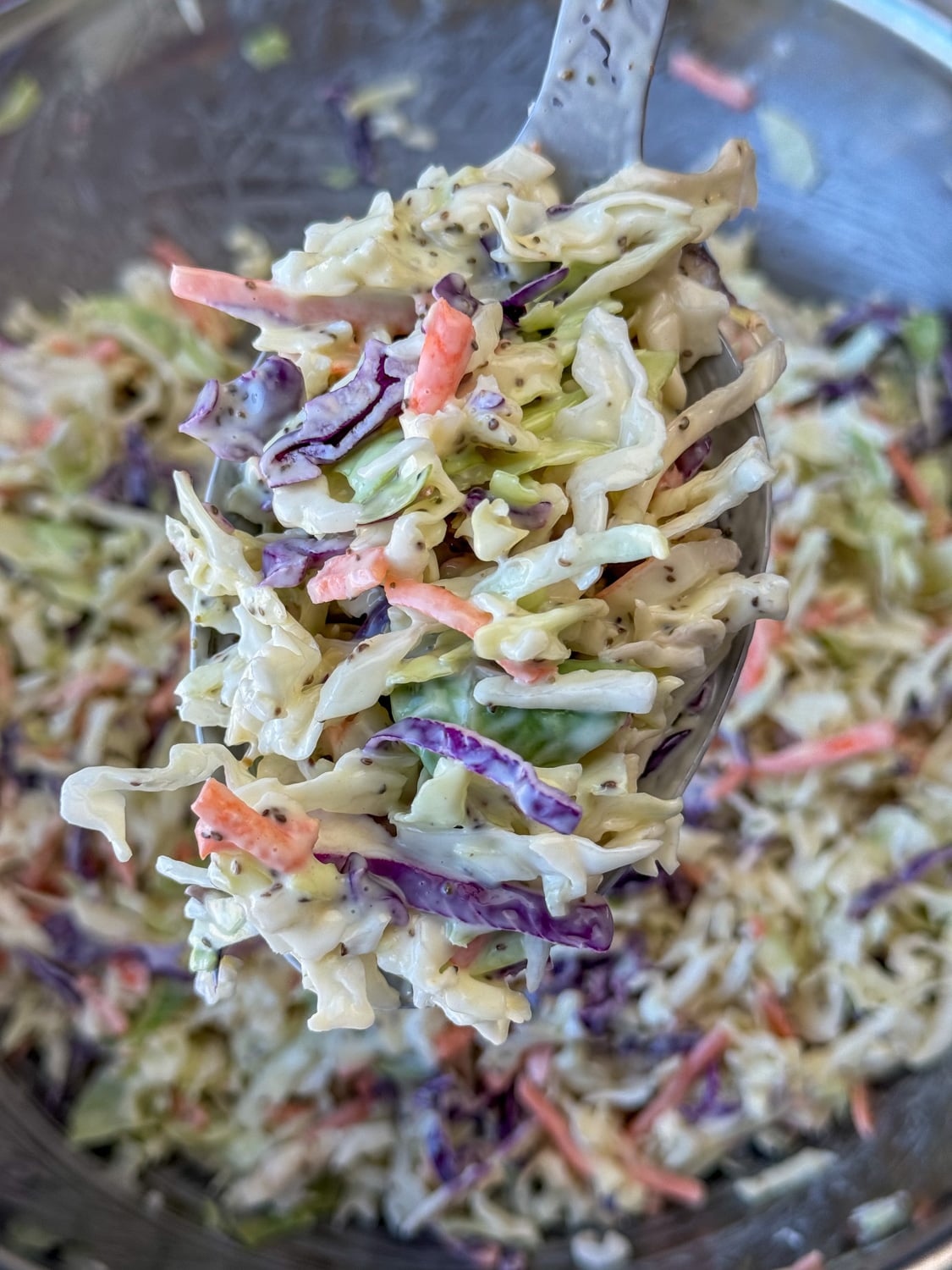 Coleslaw For A Crowd - Plowing Through Life