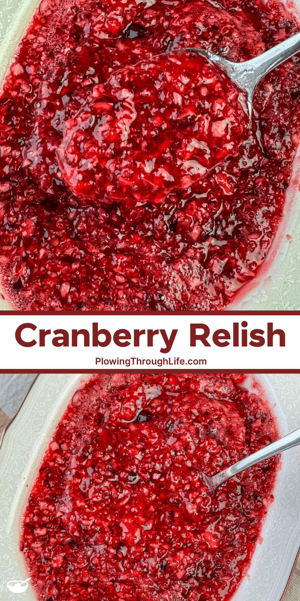 Relish Image Cranberry Relish - Plowing Through Life