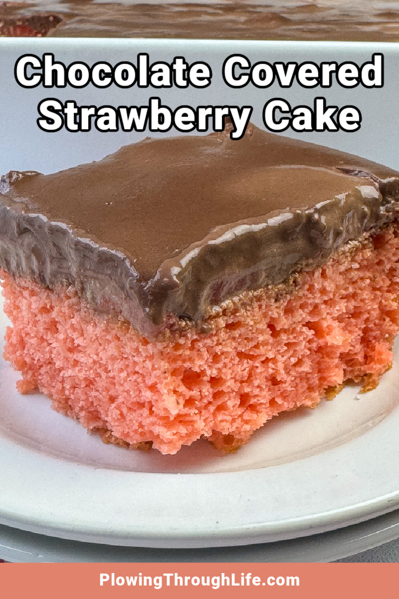 Chocolate Covered Strawberry Cake - Plowing Through Life