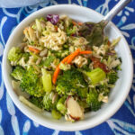 Broccoli slaw with a light dressing, sliced almonds, sunflower seeds and ramen noodles in a small bowl with a fork.