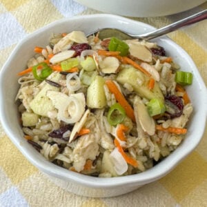 Mixture of tender chicken and seasoned wild rice with a chopped apples, dried cranberries, carrots, green onions and almonds enhancing the cold salad on a yellow and white plaid napkin.