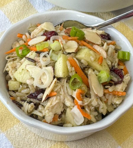Mixture of tender chicken and seasoned wild rice with a chopped apples, dried cranberries, carrots, green onions and almonds enhancing the cold salad on a yellow and white plaid napkin.