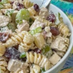 Close up rotini with a creamy dressing and cubes of chicken, pineapple, grapes, green onions, dried cranberries and cashews nestled in the pasta.
