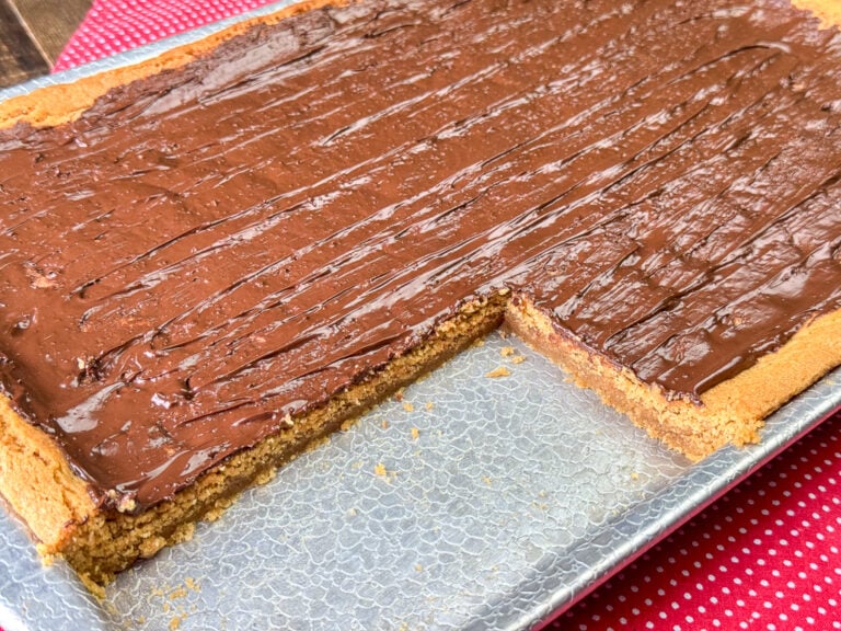 Side view of a pan of grandma's classic peanut butter bars with a thin layer of chocolate chips melted on top and a few pieces out of the corner showing the texture and rich peanut butter cookie.