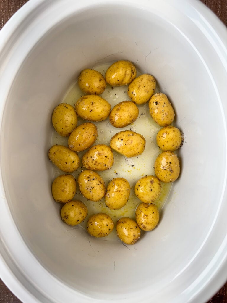 Seasoned baby gold potatoes in the bottom of a white crock pot.