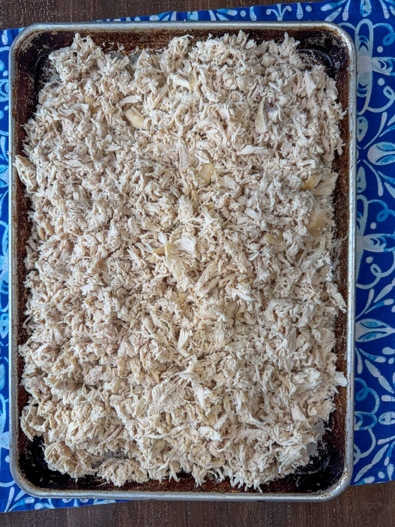 Overhead view of a sheet pan full of tender, finely shredded chicken breast white meat on a blue and whie napkin.