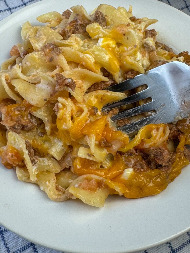 Close up plate of egg noodles coated in sour cream with plenty of tender ground beef nestled in and cheddar cheese melted on top of the noodles