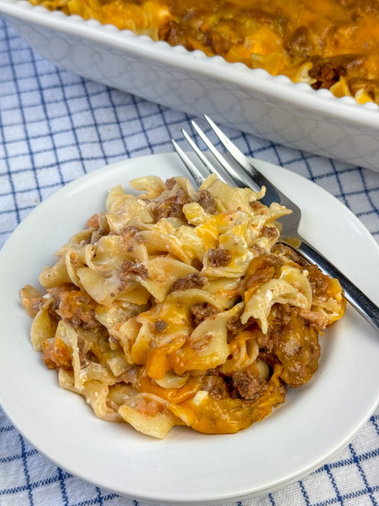 Plate of tomato sauce coated ground beef nestled in cheesy egg noodles coated in sour cream with a fork and the full casserole dish in the background.